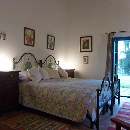 L'armonia * San Paolo Solbrito